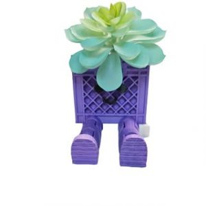 Mini Articulated Crate Planter Crate Inspired Planter Fun Planter Miniature Crate Desk Organizer or in door Planter